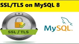 Setup Self Signed SSL/TLS on MySQL 8 | Enable SSL Connections for MySQL