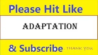 How to pronounce adaptation