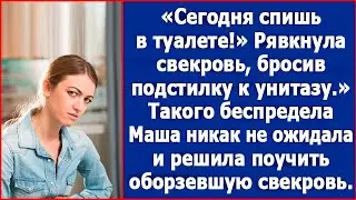 Сегодня спишь в туалете! Рявкнула свекровь, бросив Маше подстилку к унитазу.