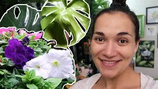 🌿 Blossoming Winter Garden & How To Set YouTube Expectations 🎄 Vlogmas 2021 • Day 12