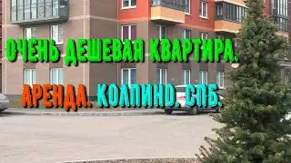 Очень дешевая квартира | Аренда  Колпино | СПб