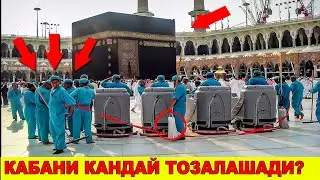 ДАХШАТ КАБАНИ КАНДАЙ ТОЗАЛАШАДИ БИЛАСИЗМИ?