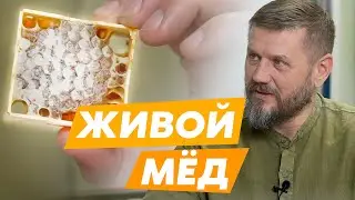 Живой мед, полезные и лечебные травы, чай