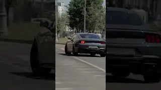 Автомобиль для ЦЕНИТЕЛЕЙ — Ford Mustang GT 