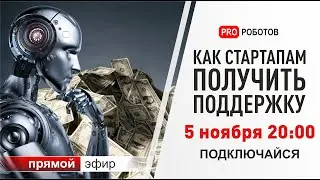 Как стартапу получить деньги? Инвестиции и господдержка бизнеса высоких технологий