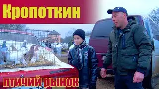 Птичий рынок. Кропоткин. Часть 1. [28.11.2021]