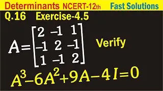 Exercise 4.5 (Q15, Q16) Determinants Class 12 Maths NCERT Chapter-4 | Determinants Ex-4.5