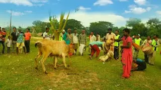 Nekurseni Sagarnagar Sahray 2019 ||Srimanta Mandi
