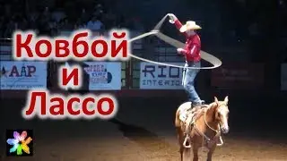 ➰🏇 Как крутить Лассо. Лассо в руках Ковбоя. Техасские Ковбои