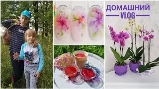 ДОМАШНИЙ VLOG: УТЕПЛЯЕМ ДОМ, ВЕНТИЛЯЦИЯ, ОРХИДЕИ, ЖИВЫЕ ЯГОДЫ, АКВАРЕЛЬ,  в ЛЕС за ГРИБАМИ