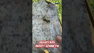 Рапорт в/ч 06705 36 омсбр Лозовская бригада 