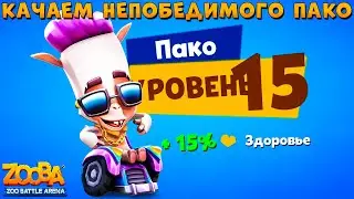 КАЧАЕМ ТЮНИНГОВАНОГО АЛЬПАКУ ПАКО НА 15 УРОВЕНЬ В ИГРЕ ZOOBA