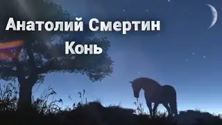 Анатолий Смертин 