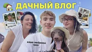 очень ДАЧНЫЙ влог или школа хард скиллс