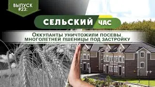 Оккупанты уничтожили посевы многолетней пшеницы под застройку. Сельский час #23 (Игорь Абакумов)