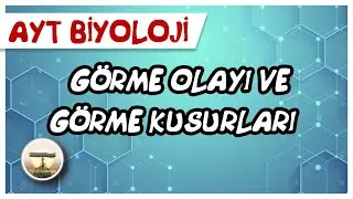 AYT Biyoloji | Görme Olayı ve Görme Kusurları #sayfa42