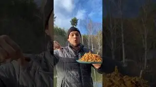 Жена плова - шавля