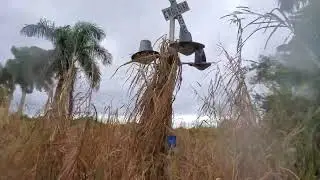 Is this Abandoned Railroad Crossing Being Reactivated ?