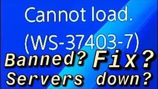 PS4 (WS-37403-7) Server Down? PSN Hacked?