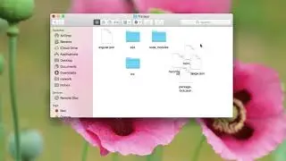 How to align files correctly on mac folder
