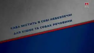 Рекламная заставка телеканала Мега (июнь 2019)