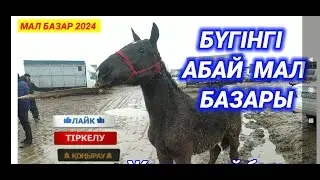 БҮГІНГІ АБАЙ МАЛ БАЗАРЫ | ЖЫЛҚЫ, ТАЙ, БАЙТАЛ БАҒАСЫ | МАЛ БАЗАР 2024 | КЕЛЕС АБАЙ МАЛ БАЗАРЫ 2024