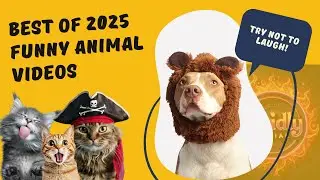 Funny Cats & Dogs Talking Hilariously | Epic Animal Conversations!  #FunnyAnimals #TalkingPets