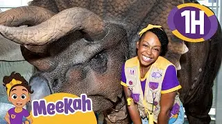 Meekah's Dinosaur Adventures! | Educational Videos for Kids | Blippi and Meekah Kids TV