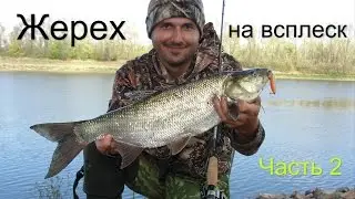 Ловля жереха на всплеск р. Припять 2015 Беларусь Часть 2. Fishing for asp on splash part 2. GoPro