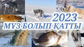 АЯУСЫЗ КЕЛГЕН СУЫҚ БАРЛЫҒЫН ҚАТЫРЫП ТАСТАДЫ  | 2023 жыл