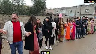 Serhat Behremen Düğünü Part 7 Behremen Ailesinin Görkemli Düğünü Müzik-Grup Nihat Silopi