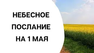 Небесное послание на 1 мая. Контроль мыслей.