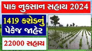 Pak Nuksan Sahay Gujarat 2024 | પાક નુકસાન સહાય પેકેજ જાહેર | ખેડૂતોને 22000 સહાય