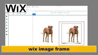 WIX How to add frame or border to the image