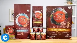 Purina ONE SmartBlend True Instinct Dog | Chewy