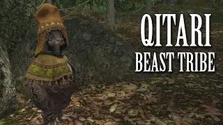 FFXIV OST Qitari Beast Tribe Theme