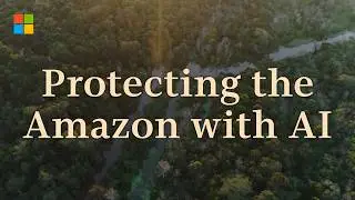 Protecting the Amazon from deforestation with Microsoft AI