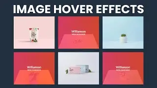 How To Create Image Hover effect Using HTML And CSS | CSS Image Hover Effects