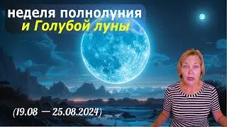 Что нам несёт второе полнолуние августа: прогноз по БаЦзы, ЦиМень Феншуй на неделю голубой луны 2024