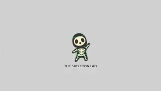 The Skeleton Lab- Scripting the Spine Module Part 2