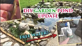 DIY Garden Pond Update | Auto Top-Off System - Plants/Livestock | Part 5