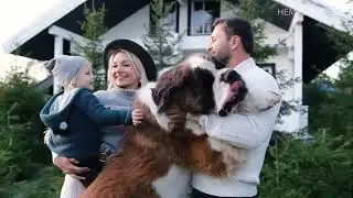 Жилой дом из конопли. Возрождение культурного коноплеводства