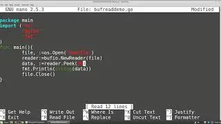 Go (golang) Tutorials - Buffered File I/O