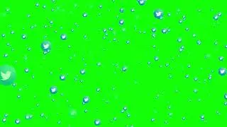 Twitter Logo Flying | 4K Green Screen Background Video | Free Download