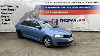 Обзор перед разбором Skoda Rapid