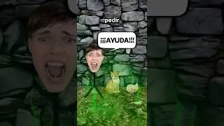 El Gato Que Mató A 5 Personas 😼