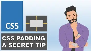 CSS Padding Property Expert Tips | CSS Padding for Box Modal | CSS Tutorial | Knowledge MeetUp