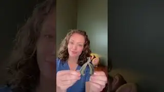 Parts of the clitoris 