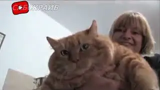 🔥 необычные 