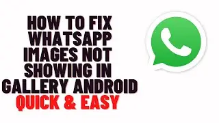 how to fix whatsapp images not showing in gallery android